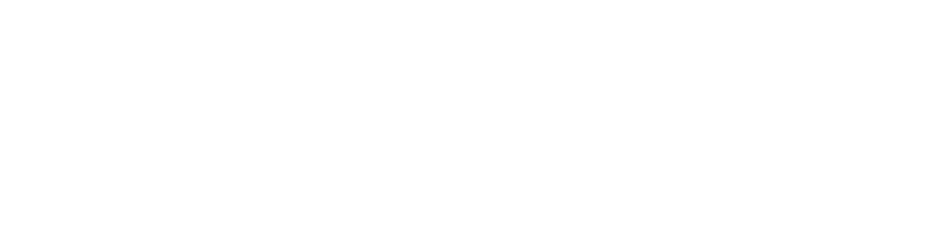 White logo - no background